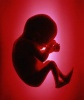تحقیق درمورد تحلیل جرم سقط جنین
