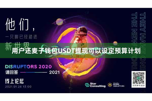 用户还麦子钱包USDT提现可以设定预算计划