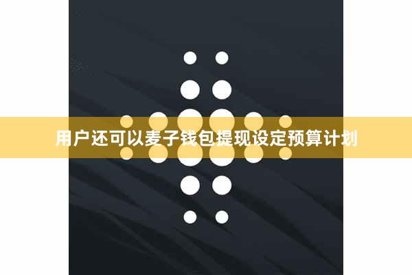 用户还可以麦子钱包提现设定预算计划