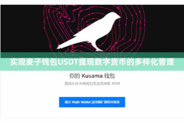 实现麦子钱包USDT提现数字货币的多样化管理