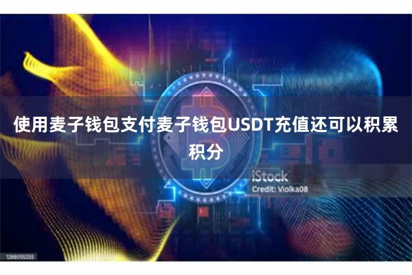 使用麦子钱包支付麦子钱包USDT充值还可以积累积分