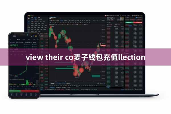 view their co麦子钱包充值llection