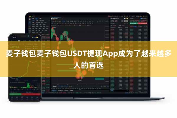 麦子钱包麦子钱包USDT提现App成为了越来越多人的首选
