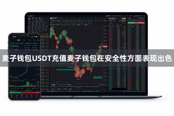 麦子钱包USDT充值麦子钱包在安全性方面表现出色