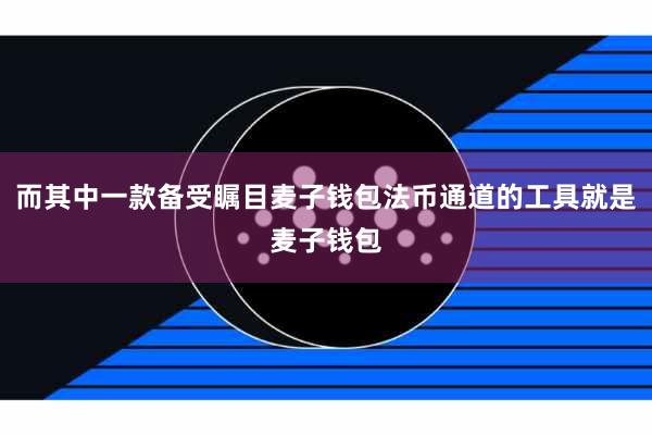 而其中一款备受瞩目麦子钱包法币通道的工具就是麦子钱包