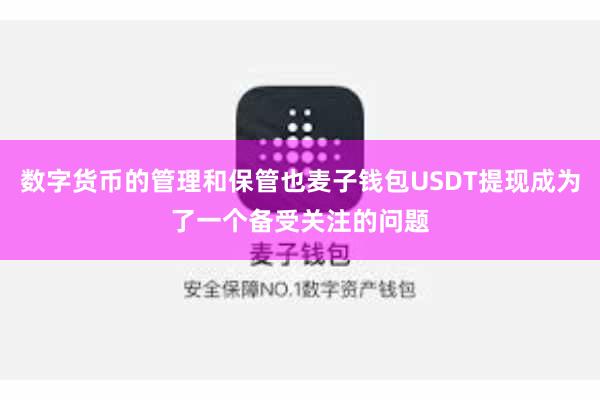 数字货币的管理和保管也麦子钱包USDT提现成为了一个备受关注的问题