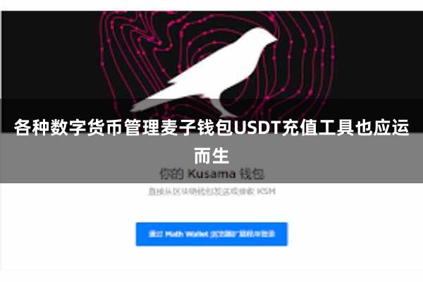 各种数字货币管理麦子钱包USDT充值工具也应运而生