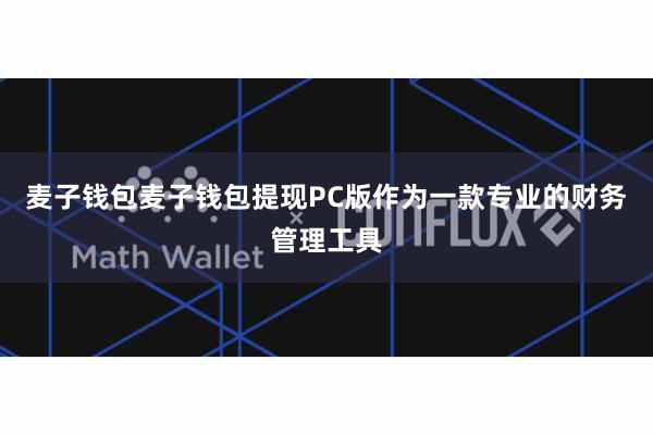 麦子钱包麦子钱包提现PC版作为一款专业的财务管理工具