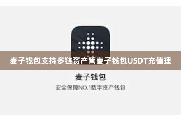 麦子钱包支持多链资产管麦子钱包USDT充值理