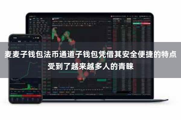 麦麦子钱包法币通道子钱包凭借其安全便捷的特点受到了越来越多人的青睐