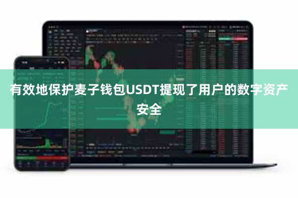 有效地保护麦子钱包USDT提现了用户的数字资产安全