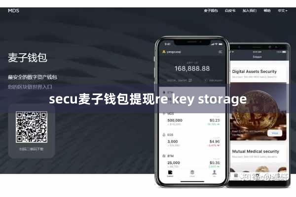 secu麦子钱包提现re key storage