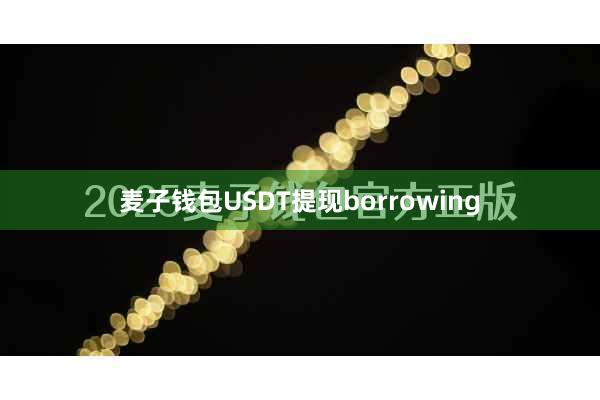 麦子钱包USDT提现borrowing