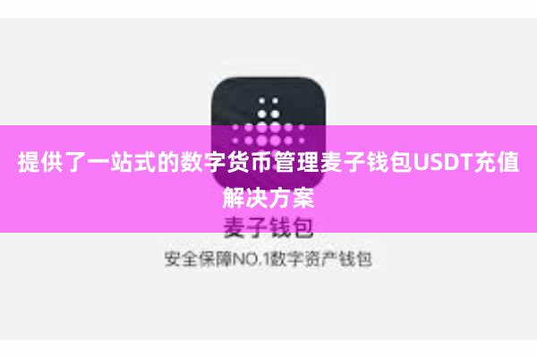 提供了一站式的数字货币管理麦子钱包USDT充值解决方案
