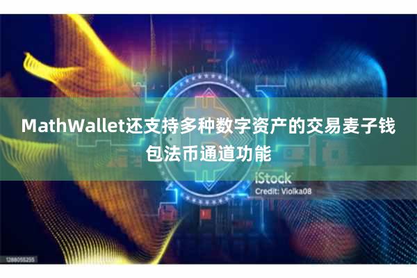 MathWallet还支持多种数字资产的交易麦子钱包法币通道功能
