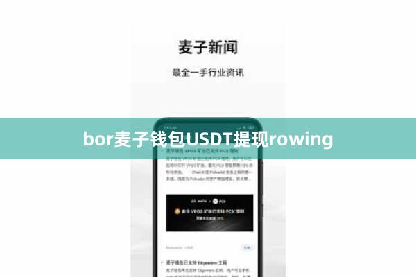 bor麦子钱包USDT提现rowing