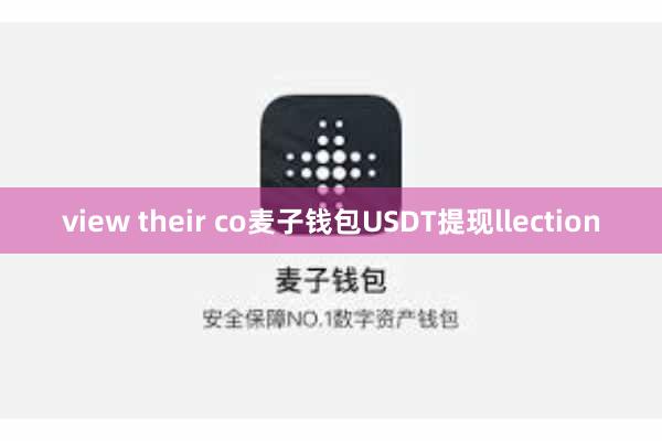 view their co麦子钱包USDT提现llection