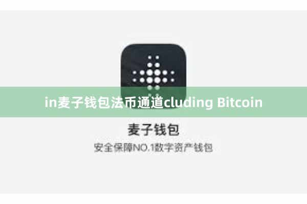 in麦子钱包法币通道cluding Bitcoin