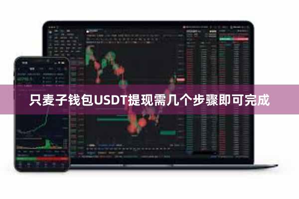 只麦子钱包USDT提现需几个步骤即可完成