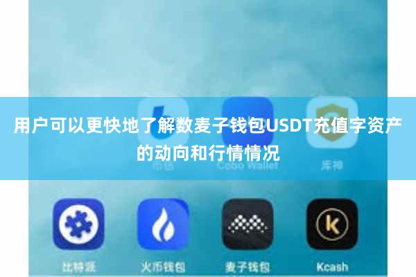 用户可以更快地了解数麦子钱包USDT充值字资产的动向和行情情况