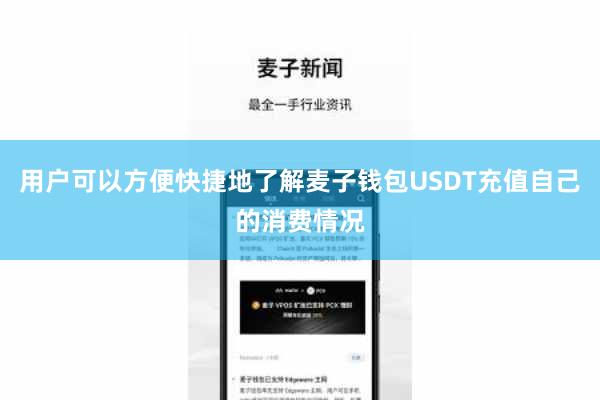 用户可以方便快捷地了解麦子钱包USDT充值自己的消费情况