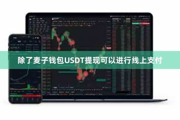 除了麦子钱包USDT提现可以进行线上支付