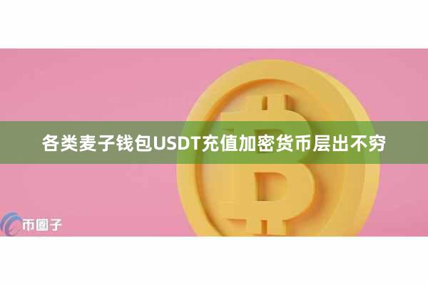各类麦子钱包USDT充值加密货币层出不穷