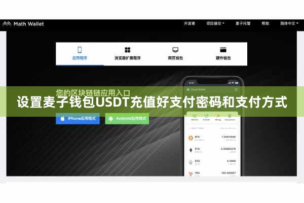 设置麦子钱包USDT充值好支付密码和支付方式