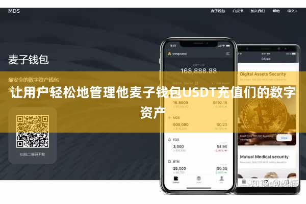 让用户轻松地管理他麦子钱包USDT充值们的数字资产