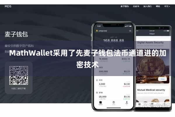 MathWallet采用了先麦子钱包法币通道进的加密技术
